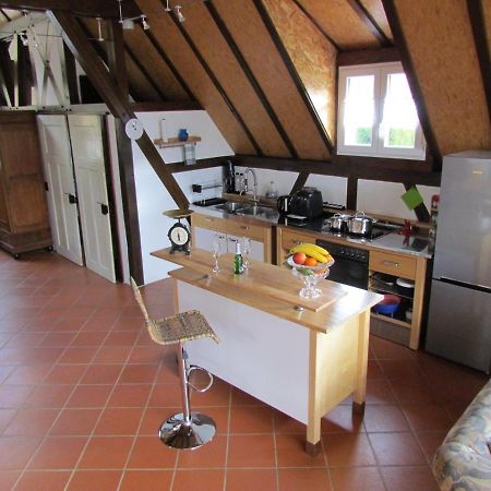 Gite Des Chateaux-Forts Obersteinbach Екстер'єр фото